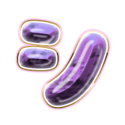 092