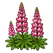 039