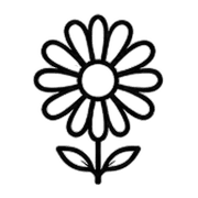 008