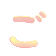 060