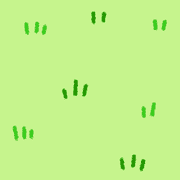 016