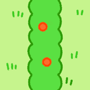 017