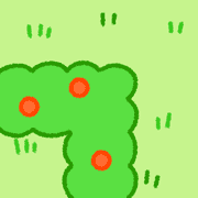 020