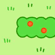 029