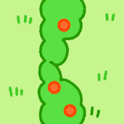 031