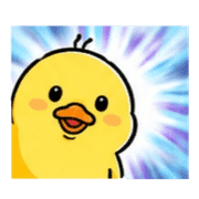 029