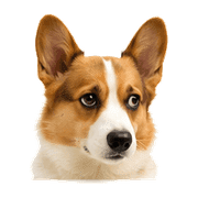 002