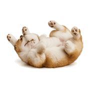 027