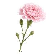 004