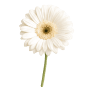 027