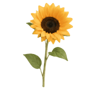 034