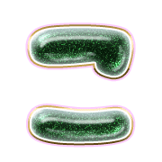 010