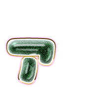 127