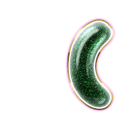 234