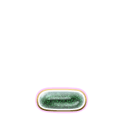 250