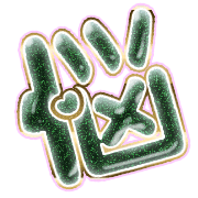 284