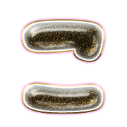 010