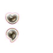 243