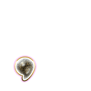 245