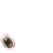 256