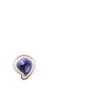 245