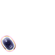256