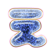 004