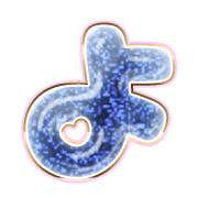038