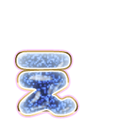 050