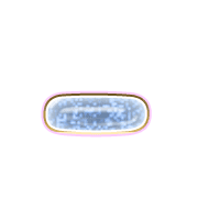 161