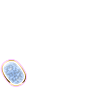 256