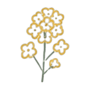 025