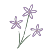 038