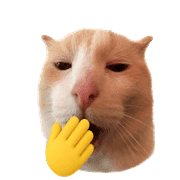 010
