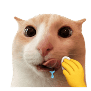 019