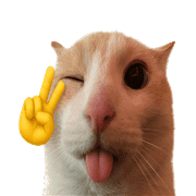 035