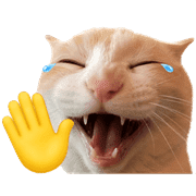 036