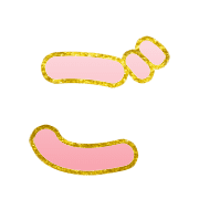 060