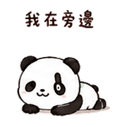 031