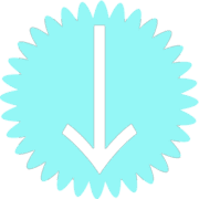261