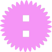 244
