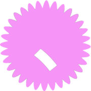 256