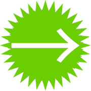 262