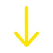 261