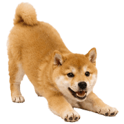 013