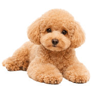 024