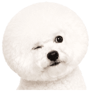 005