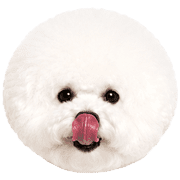 029