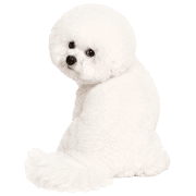 031