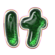 009